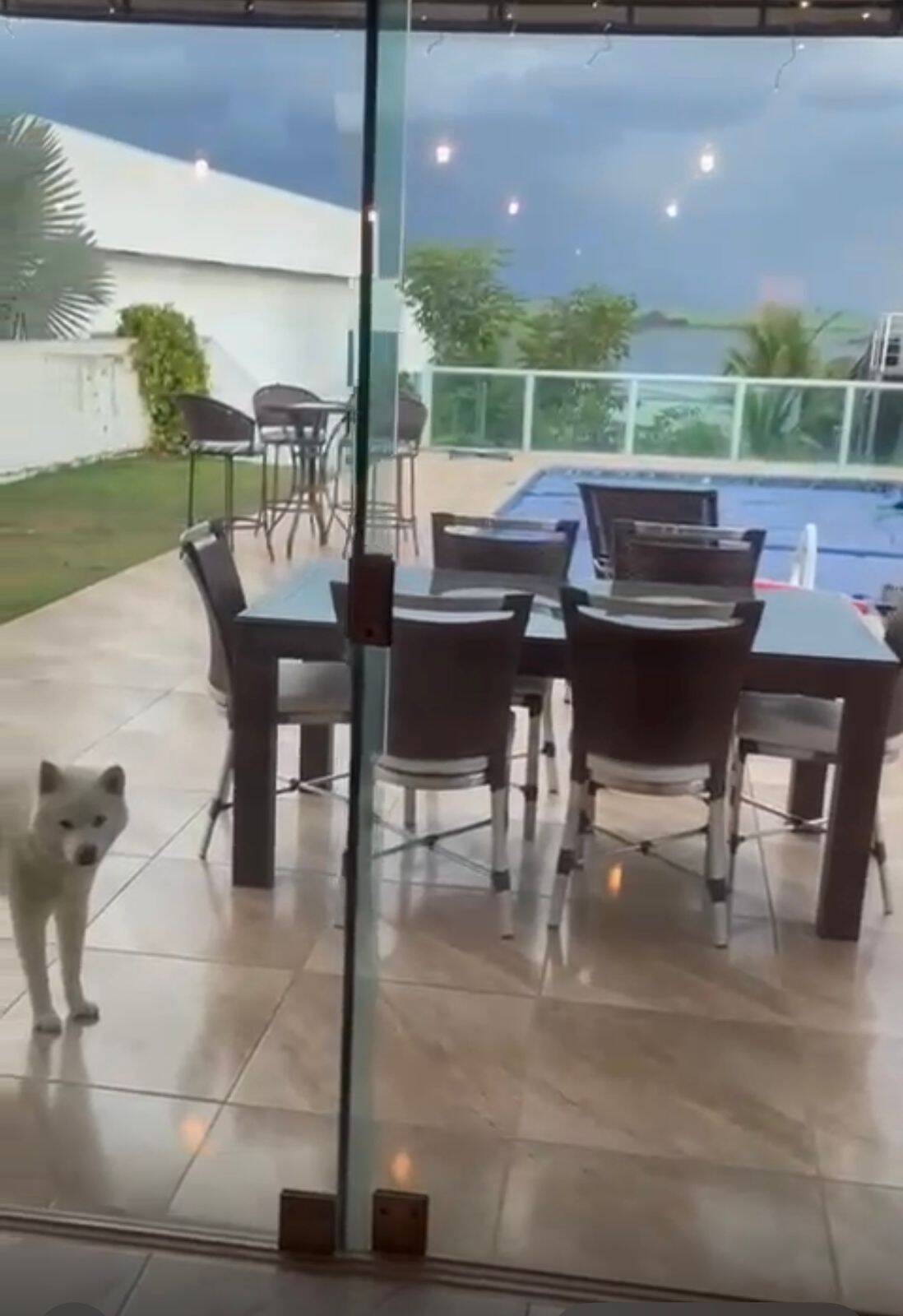 Casa, 3 quartos, 800 m² - Foto 8