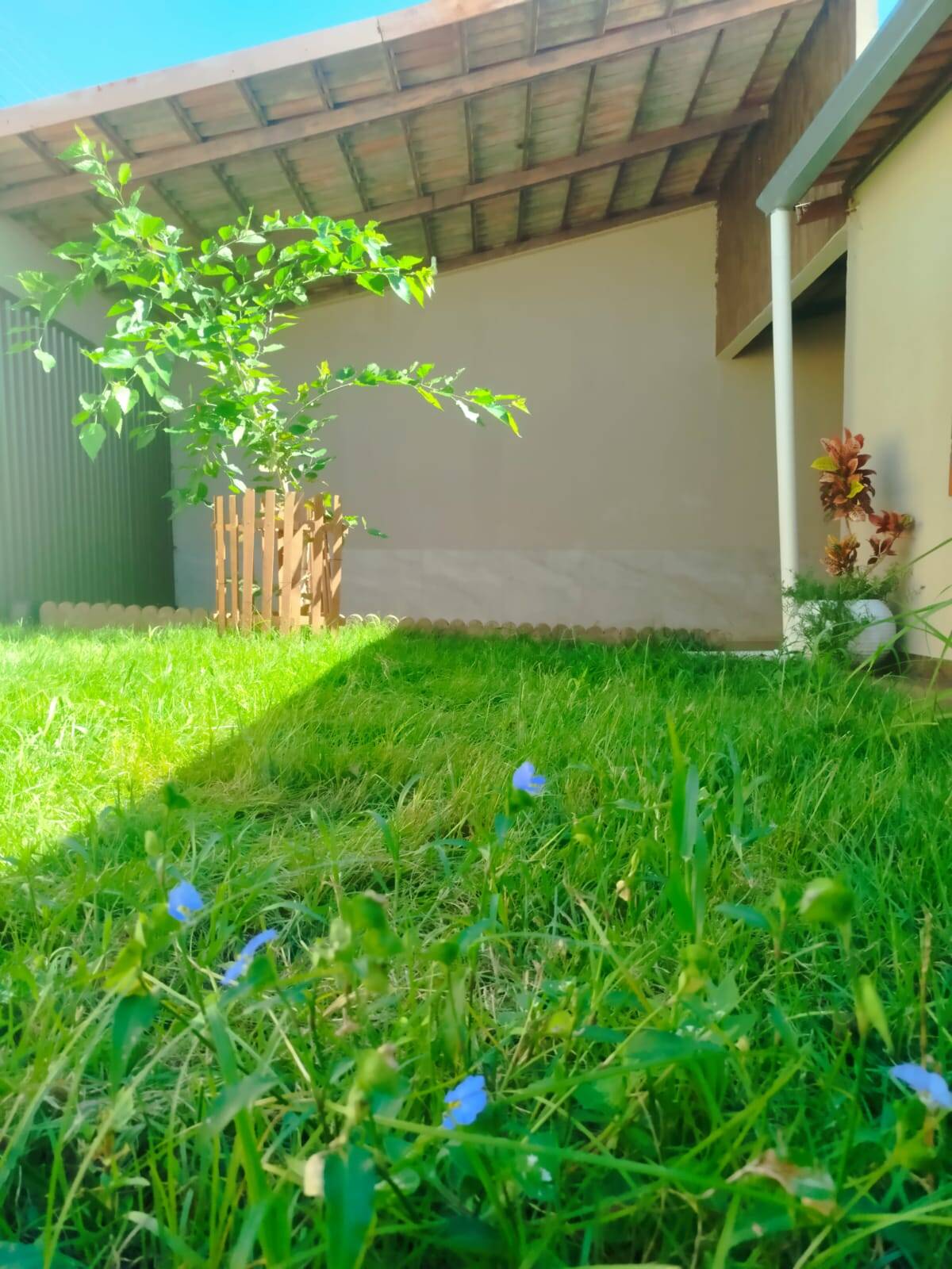 Casa, 3 quartos, 200 m² - Foto 3